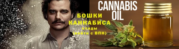 мяу мяу мука Баксан