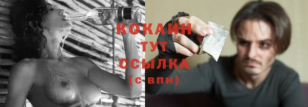 прущие грибы Новодвинск