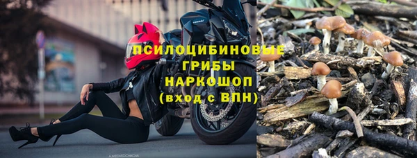 мяу мяу мука Баксан