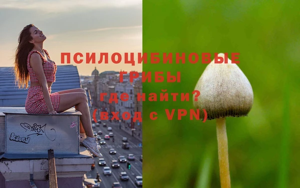 мяу мяу мука Баксан