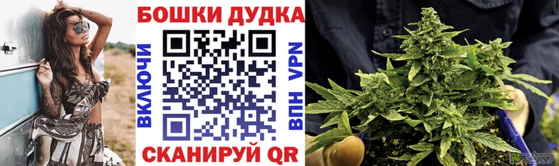 Бошки Шишки White Widow  Гатчина 